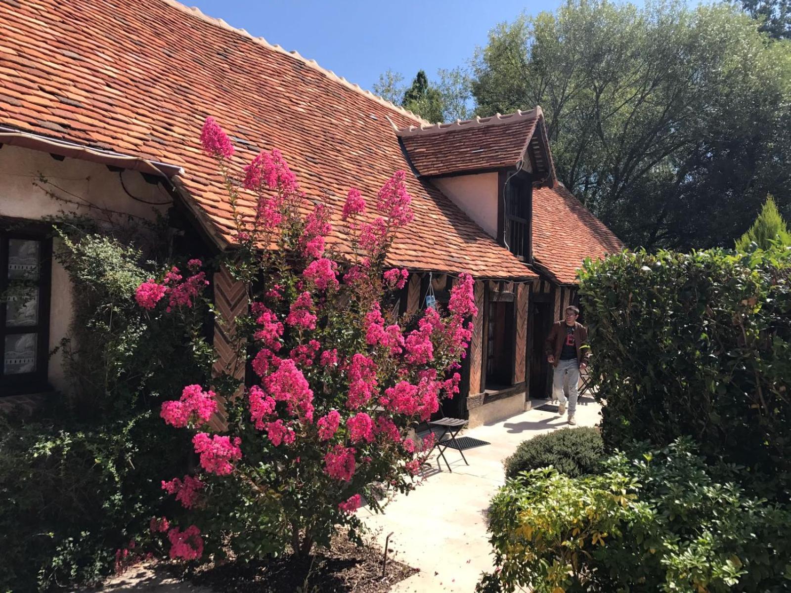 فيلا Domaine De Grand-Pas Vernou-en-Sologne المظهر الخارجي الصورة