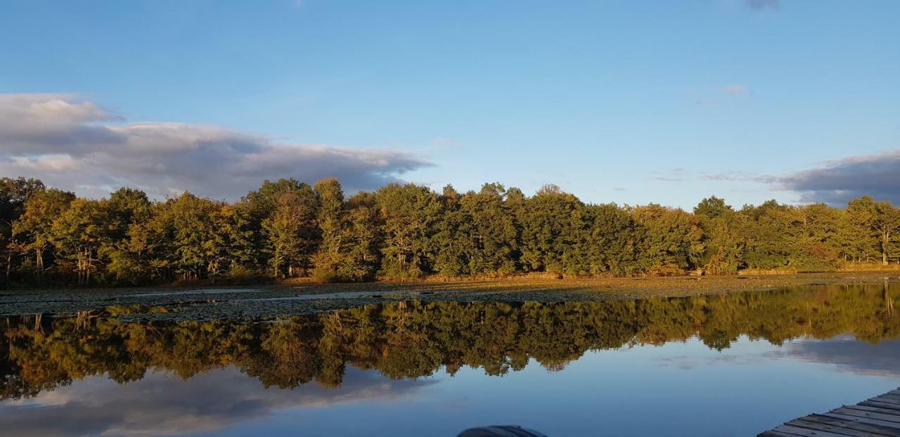 فيلا Domaine De Grand-Pas Vernou-en-Sologne المظهر الخارجي الصورة